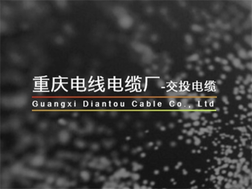 立絡(luò)科技-重慶電纜廠(chǎng)